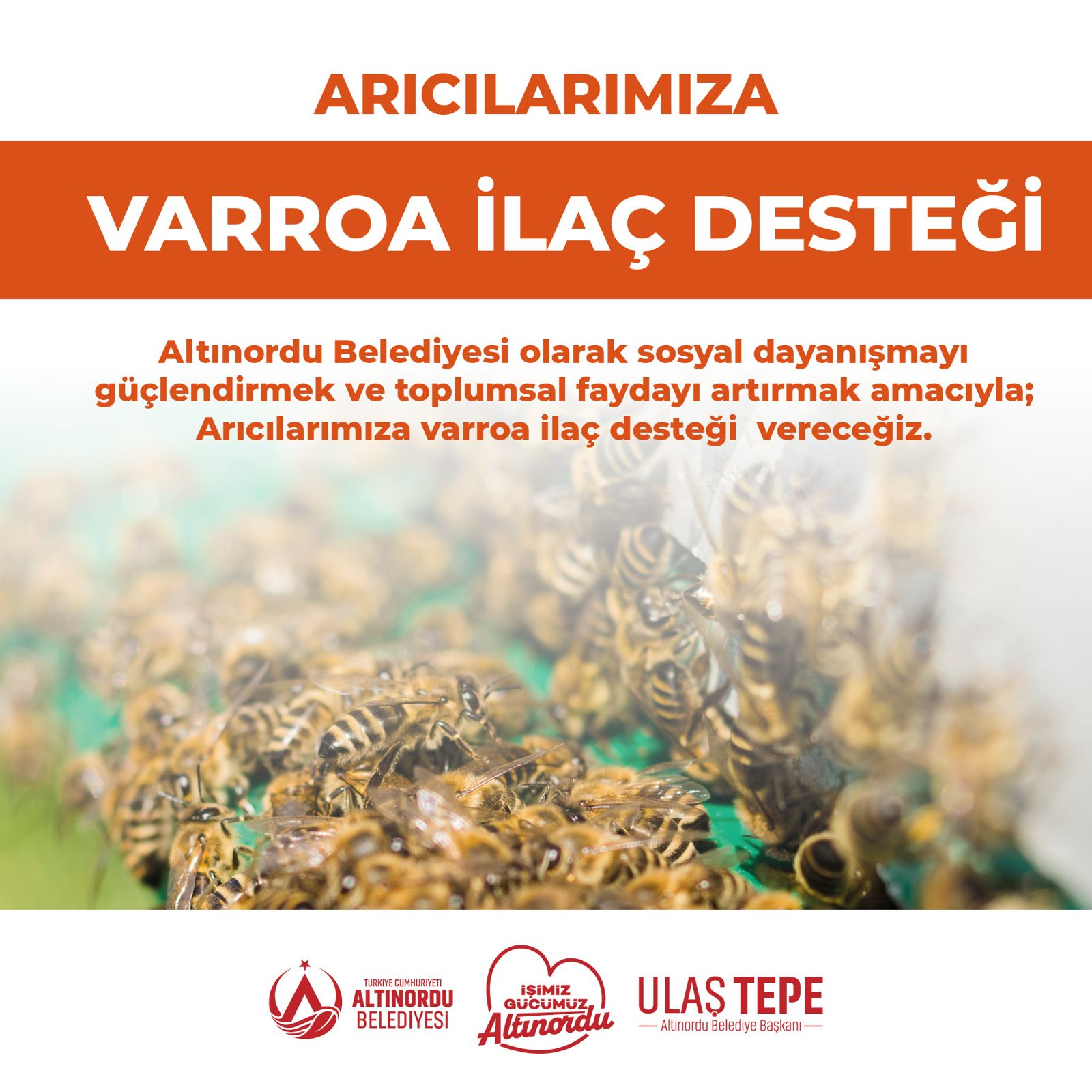 ALTINORDU BELEDİYESİ BU KEZ ARICILAR İÇİN HAREKETE GEÇTİ