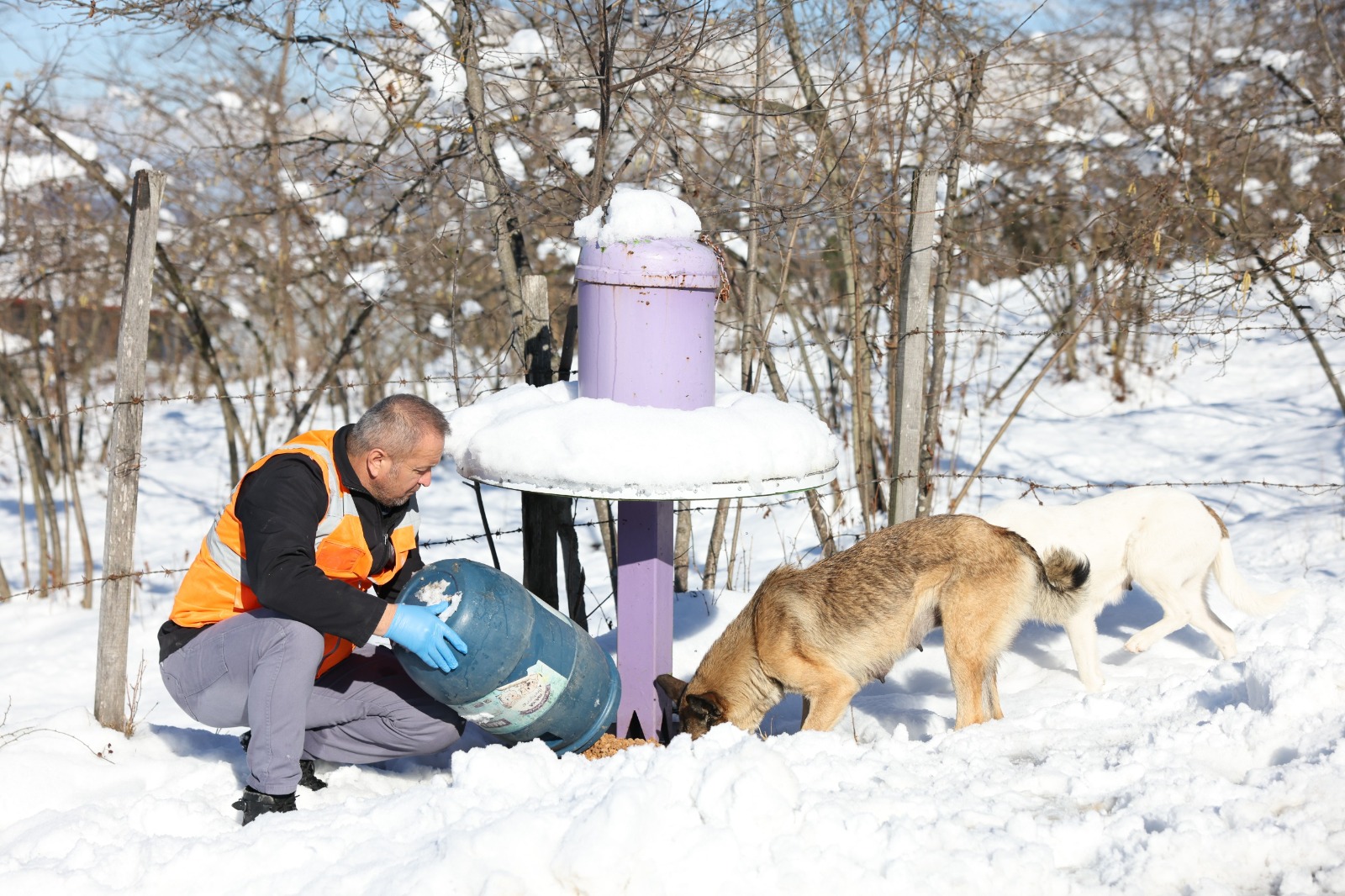 ALTINORDU BELEDİYESİ PATİLİ DOSTLARI YİNE UNUTMADI