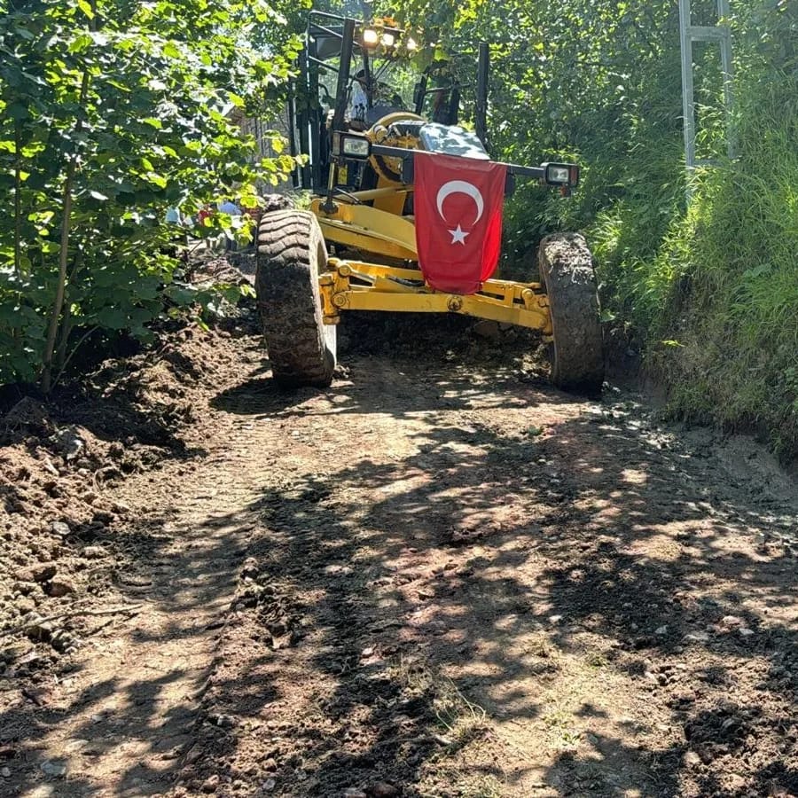 FINDIK HASADI ÖNCESİNDE KIRSALDA YOĞUN TEMPO