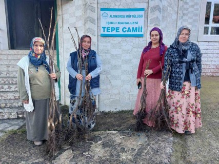 Altınordu Belediyesinin Yeşil Seferberliği Sürüyor