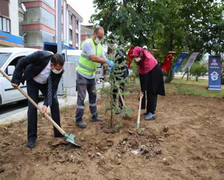 ALTINORDU BELEDİYEMİZ TARİHİ MİRASA SAHİP ÇIKIYOR