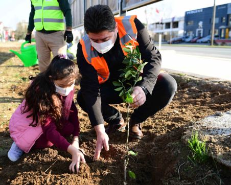 ALTINORDU’DA 52 BİN FİDAN TOPRAKLA BULUŞUYOR