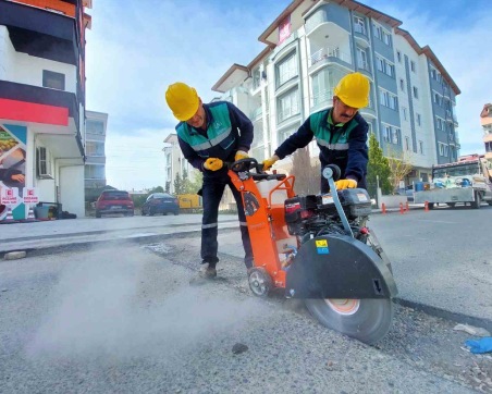 ALTINORDU’DA BAHAR HAZIRLIKLARI