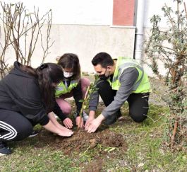 PROJE FOTOĞRAF