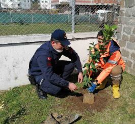 PROJE FOTOĞRAF