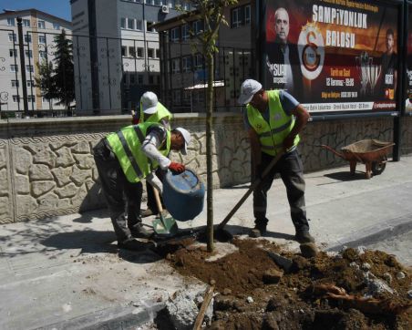 YEŞİL DOSTU BAŞKAN