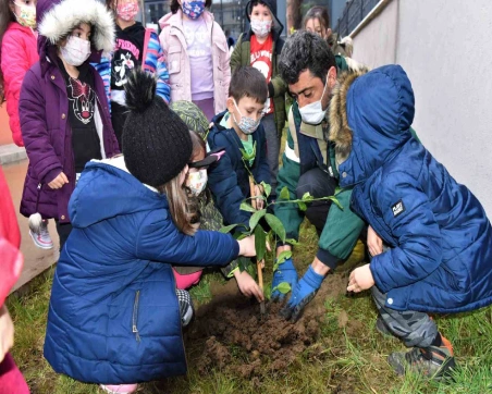 DÖRT MEVSİM YEŞİL ALTINORDU İÇİN NARENCİYE FİDANLARI TOPRAKLA BULUŞMAYA DEVAM EDİYOR