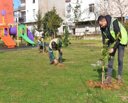 YEŞİL ŞEHİR ALTINORDU DAHA DA YEŞİLLENİYOR