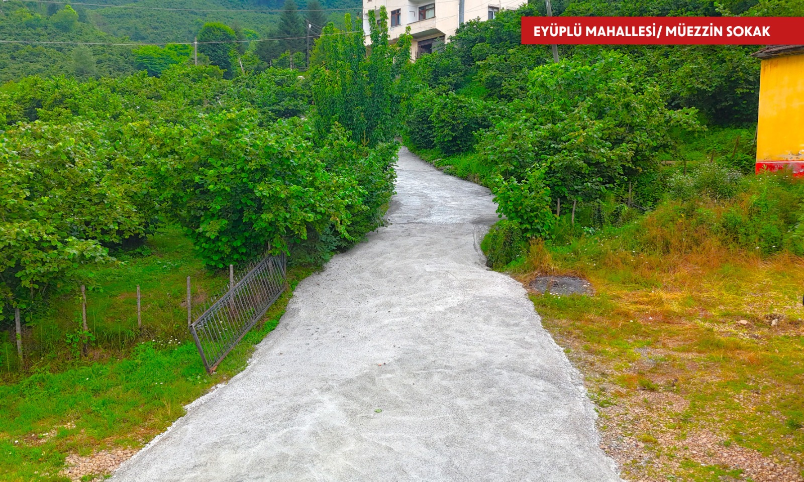 ALTINORDU’DA KIRSAL YOLLAR KONFORA KAVUŞUYOR