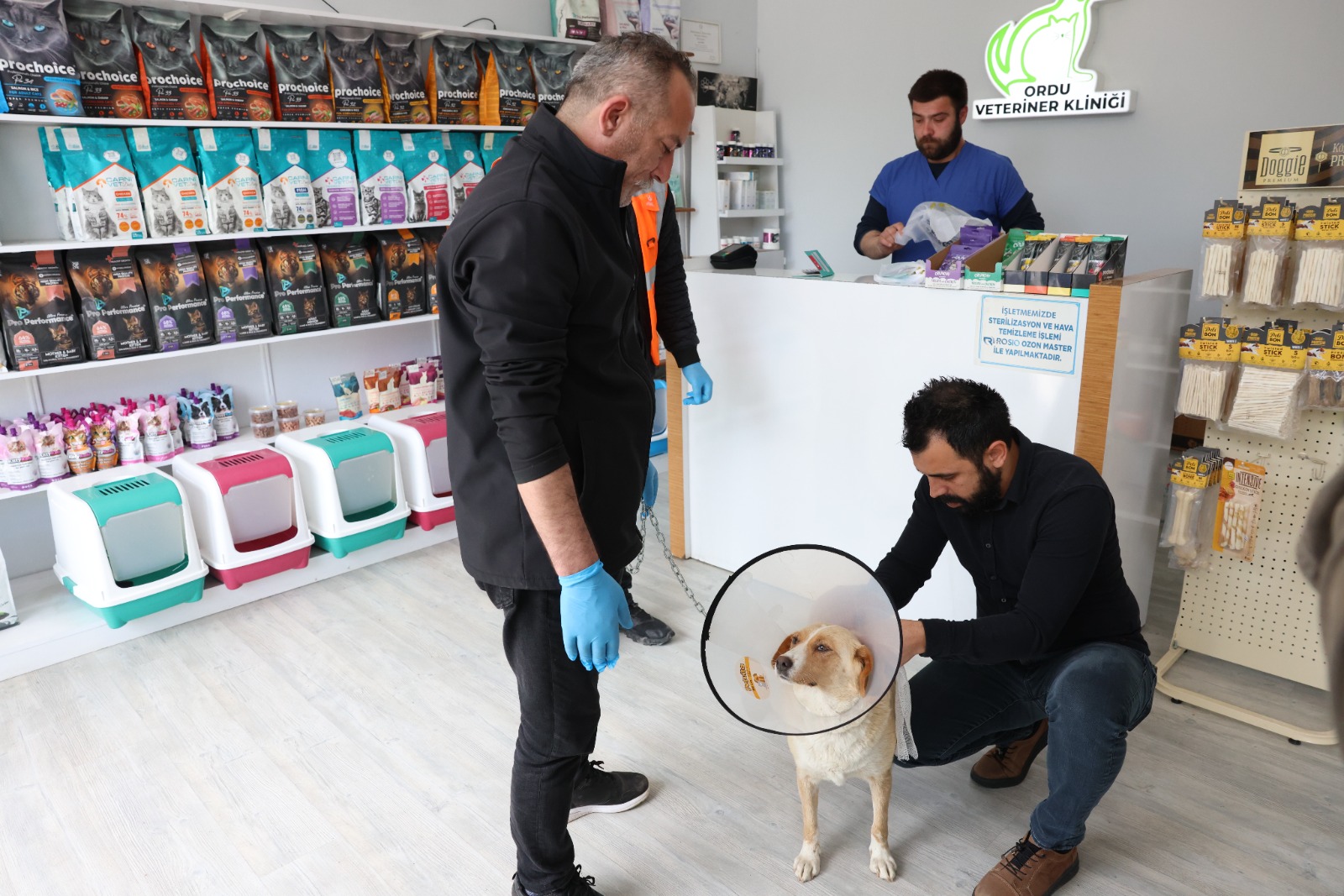 PATİLİ DOSTLARIN KISIRLAŞTIRILMA SEFERBERLİĞİ BAŞLADI