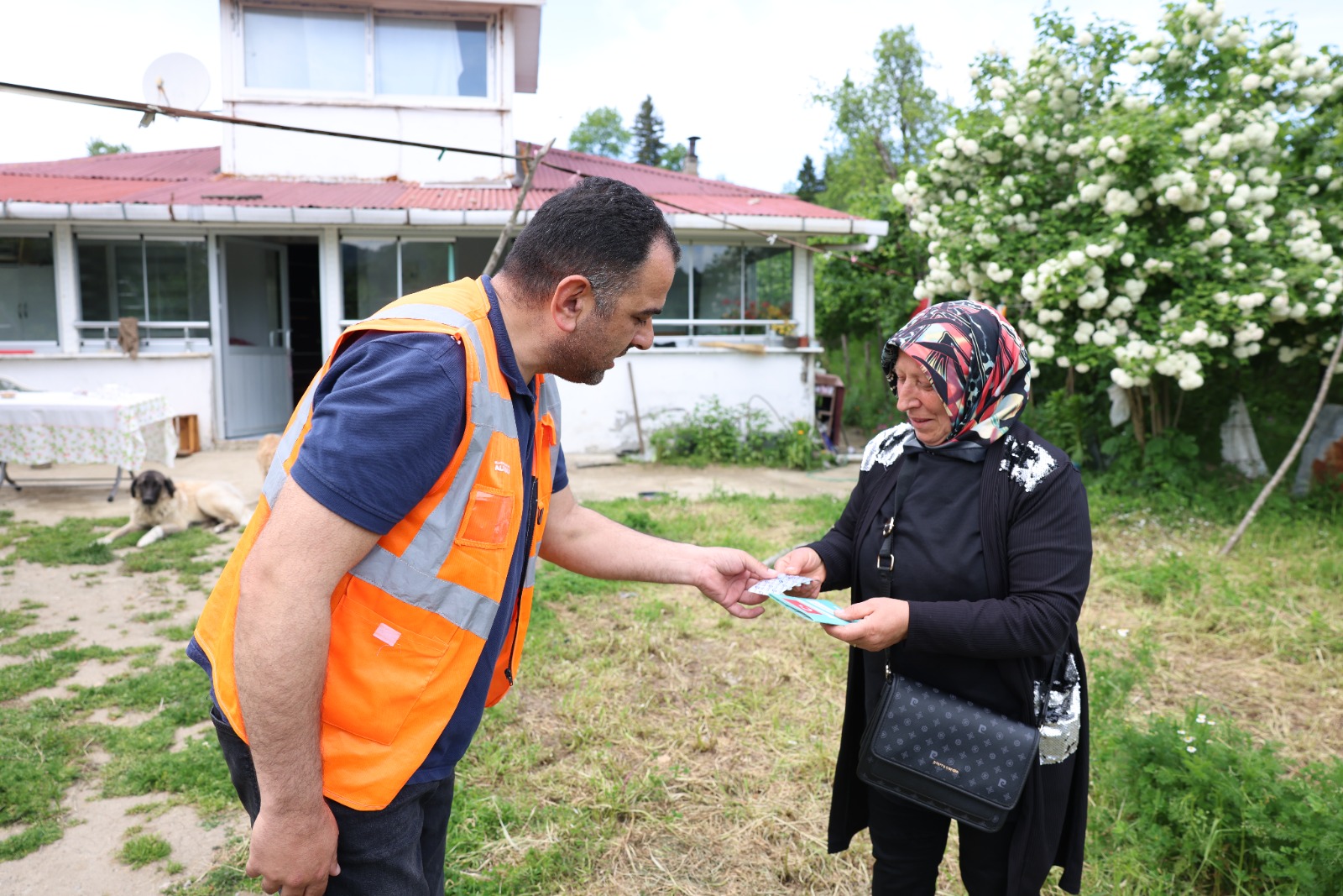 PATİLİ DOSTLARIN KISIRLAŞTIRILMA SEFERBERLİĞİ BAŞLADI
