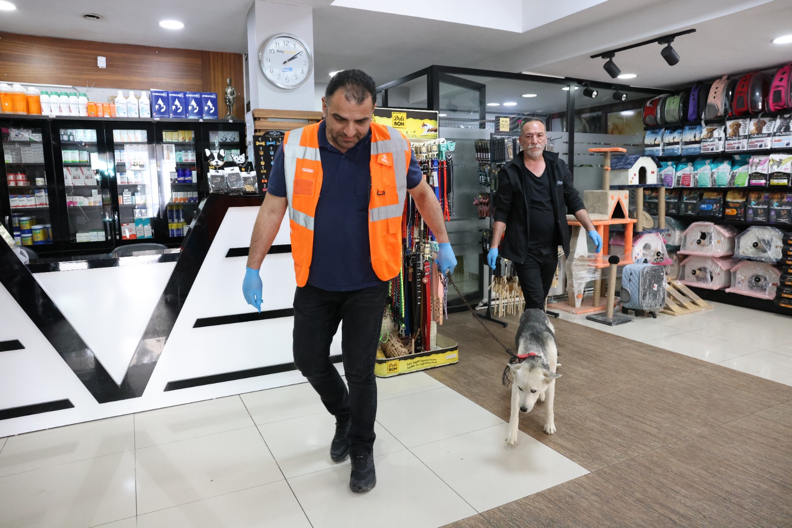PATİLİ DOSTLARIN KISIRLAŞTIRILMA SEFERBERLİĞİ BAŞLADI