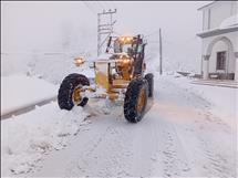 whatsapp image 2026 01 14 14 1 26389