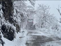 whatsapp image 2026 01 14 14 1 26399