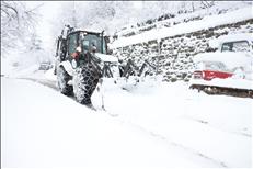 whatsapp image 2026 01 14 14 1 26879