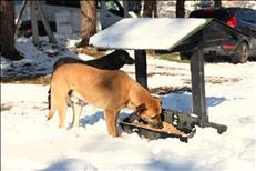 whatsapp image 2026 01 15 15 1 26262