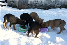 whatsapp image 2026 01 15 15 1 26433