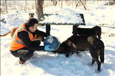 whatsapp image 2026 01 15 15 1 26657