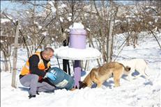 whatsapp image 2026 01 15 15 1 26844