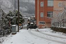 whatsapp image 2026 01 19 19 1 26270