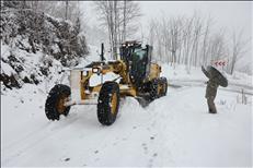 whatsapp image 2026 01 19 19 1 26447