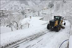 whatsapp image 2026 01 19 19 1 26950