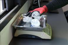 whatsapp image 2026 02 05 5 2 26181