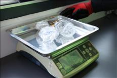 whatsapp image 2026 02 05 5 2 26386