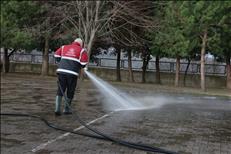 whatsapp image 2026 02 01 3 2 26603