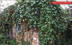 whatsapp image 2026 02 25 25 2 26160