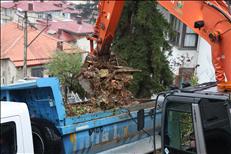 whatsapp image 2026 02 25 25 2 26641