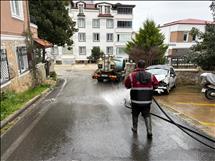 whatsapp image 2026 03 19 19 3 26437