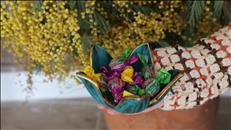 whatsapp image 2026 03 15 16 3 26335