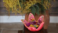 whatsapp image 2026 03 15 16 3 26841