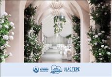 whatsapp image 2026 03 17 17 3 26428