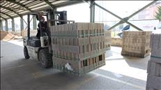 whatsapp image 2026 03 17 17 3 26498