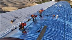 whatsapp image 2026 03 17 17 3 26674