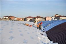 whatsapp image 2026 03 17 17 3 26894