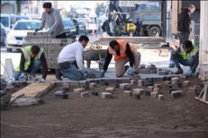 whatsapp image 2026 03 12 12 3 26566