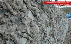 whatsapp image 2026 04 17 17 4 26351