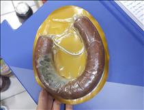 whatsapp image 2026 04 03 3 4 26399