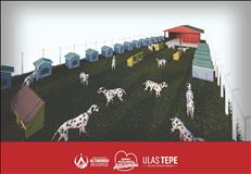 whatsapp image 2026 04 27 27 4 26191