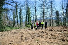 whatsapp image 2026 04 27 27 4 26586