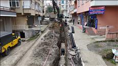 whatsapp image 2026 04 08 8 4 26533