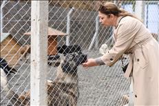 1 8 10 26269
